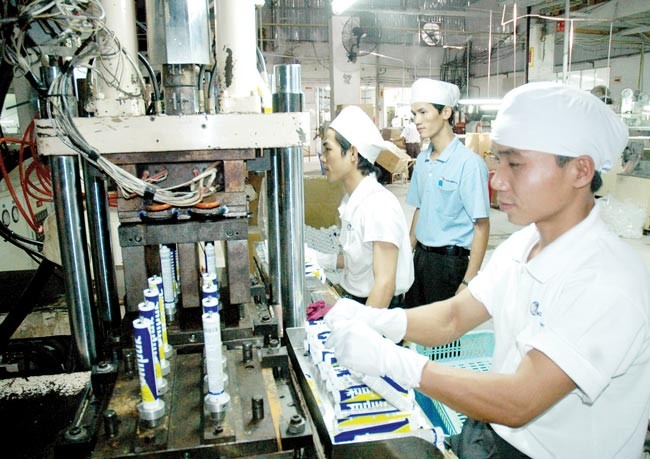 A medium sized plastic pipe company in Binh Thanh district, HCMC (Illustrative photo: SGGP)